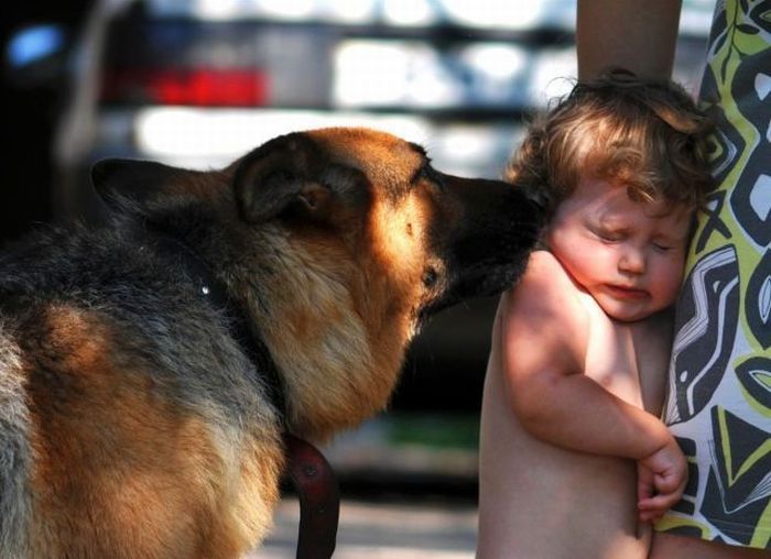 �� ���� �������� ��������