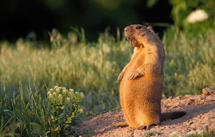 � �� ��������?