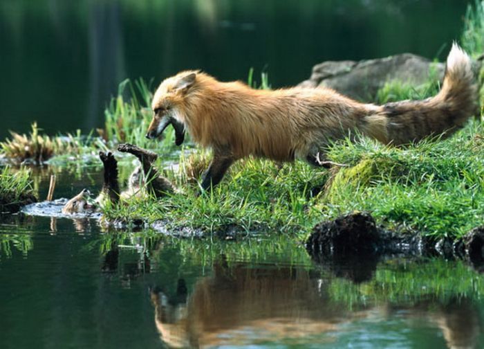 ��, ����!!!