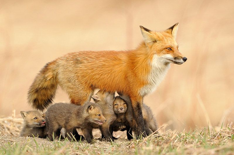 �� ������.