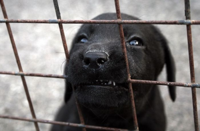 �� ������� � ���� ����.