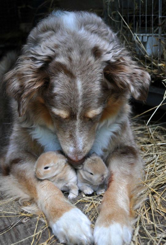 �� �������, ��� ������������ ��������?