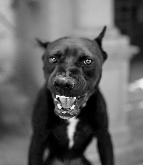 ��� � ��� �������?