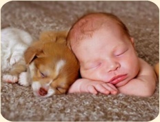 ��� ���������� �����.