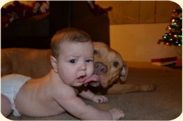 ��� ���������� �����.