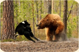 ��� ���������� �����.