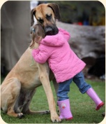 ��� ���������� �����.