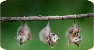 ��� ���������� �����.