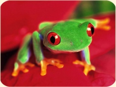 ��� ���������� �����.