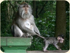 ��� ���������� �����.